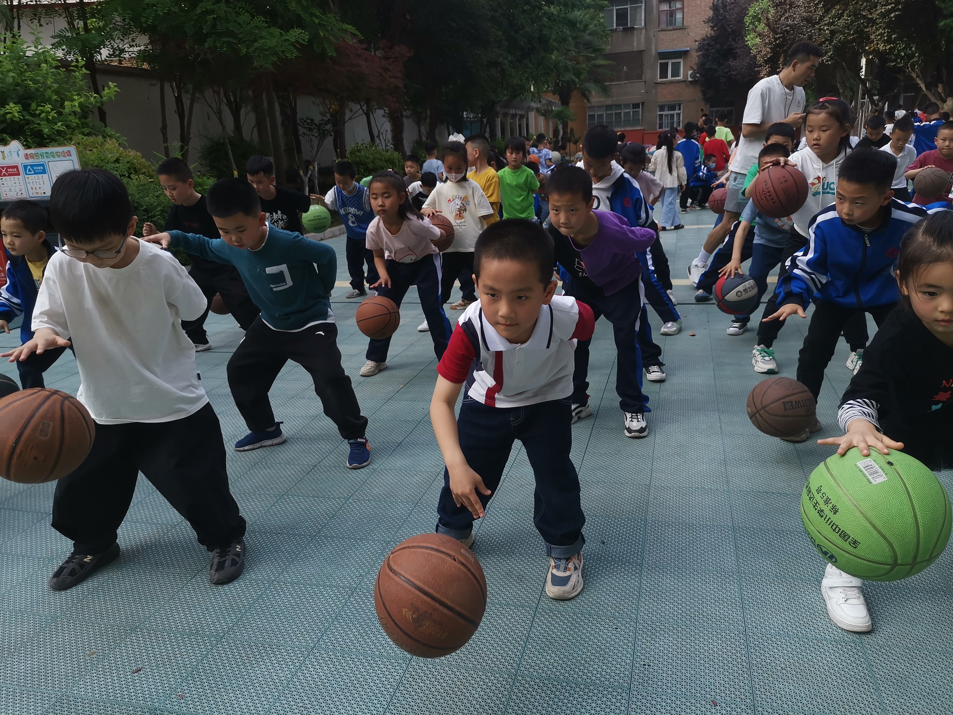 1684503783803027094.jpg 1684503783803027094.jpg